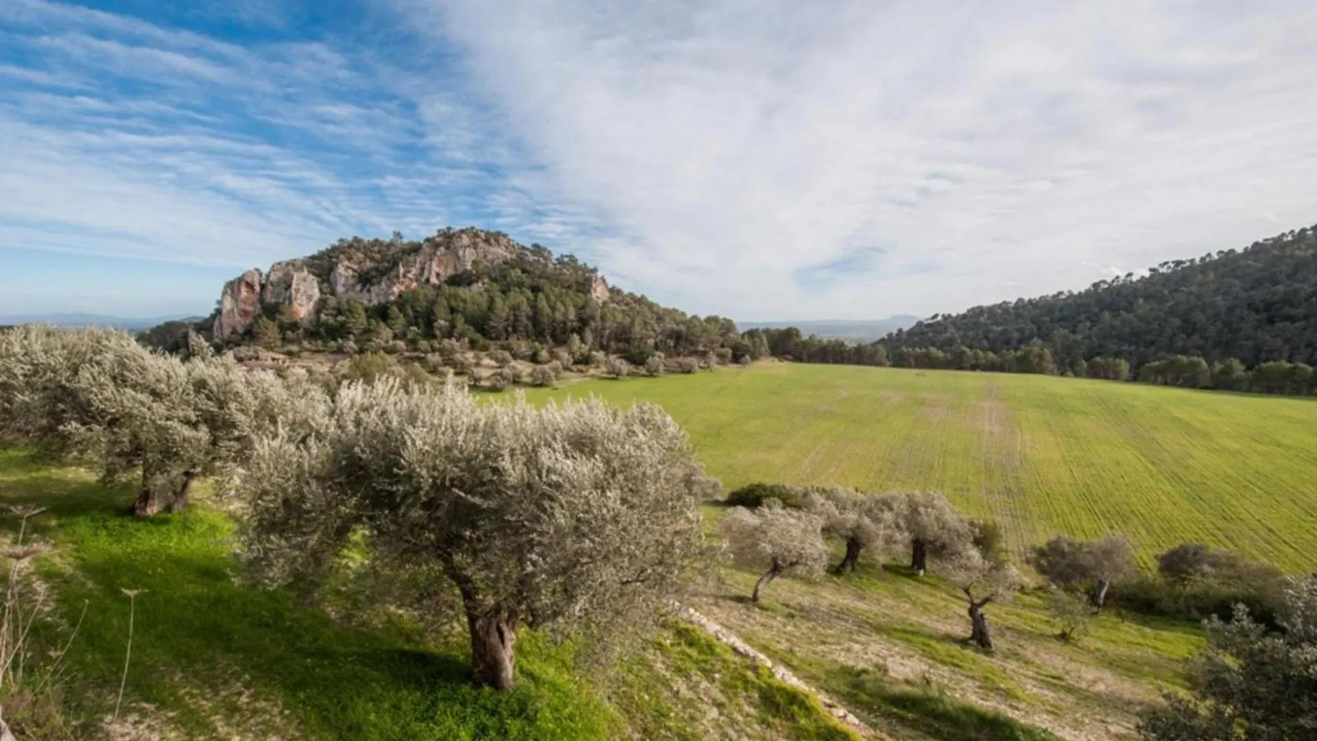 Villa Can Besso Mancor De La Vall Mancor del Valle